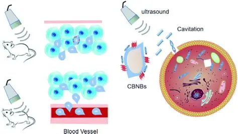 Image illustrating how a targeted cancer therapy drug binds to a specific protein on a cancer cell